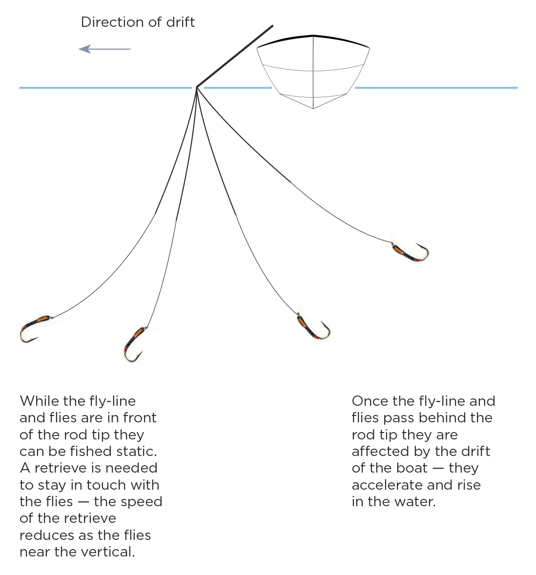 Flies on the hang diagram